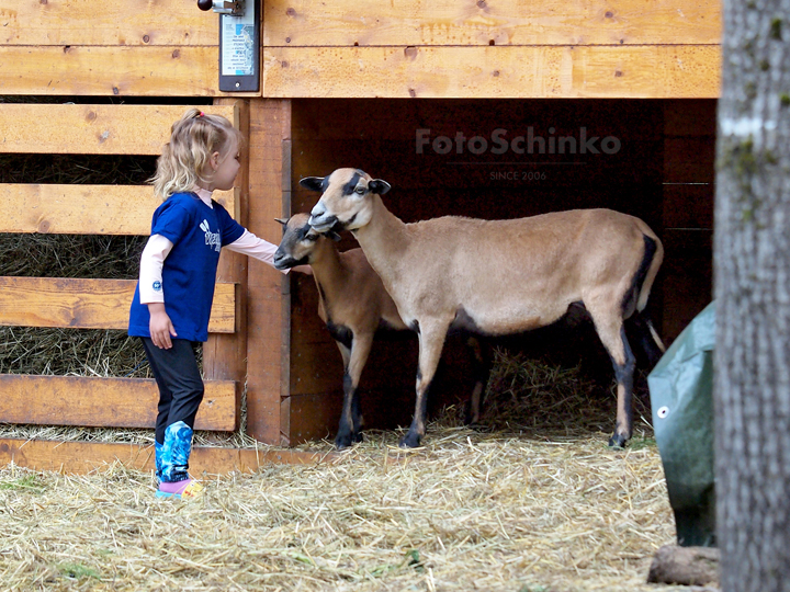 17 | Kemp Branná | Kanak | 2024 | FotoSchinko