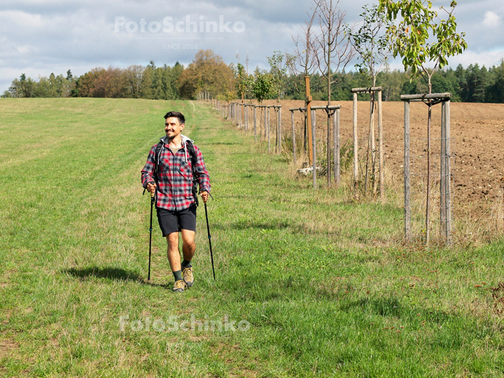 05 | Křížová cesta | Turistika | Toulava | Milevsko | FotoSchinko